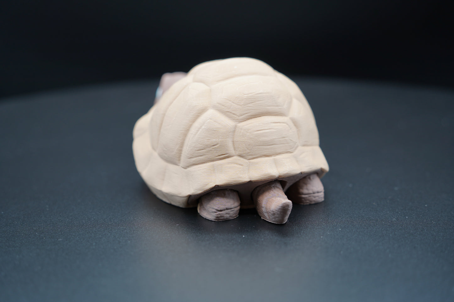 Tortoise – Articulated 3D Printed Animal (7" × 3")