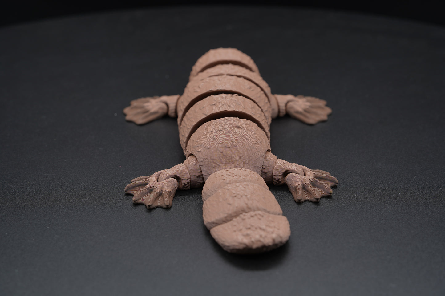 Platypus – Articulated 3D Printed Platypus (8.5" × 1.25")