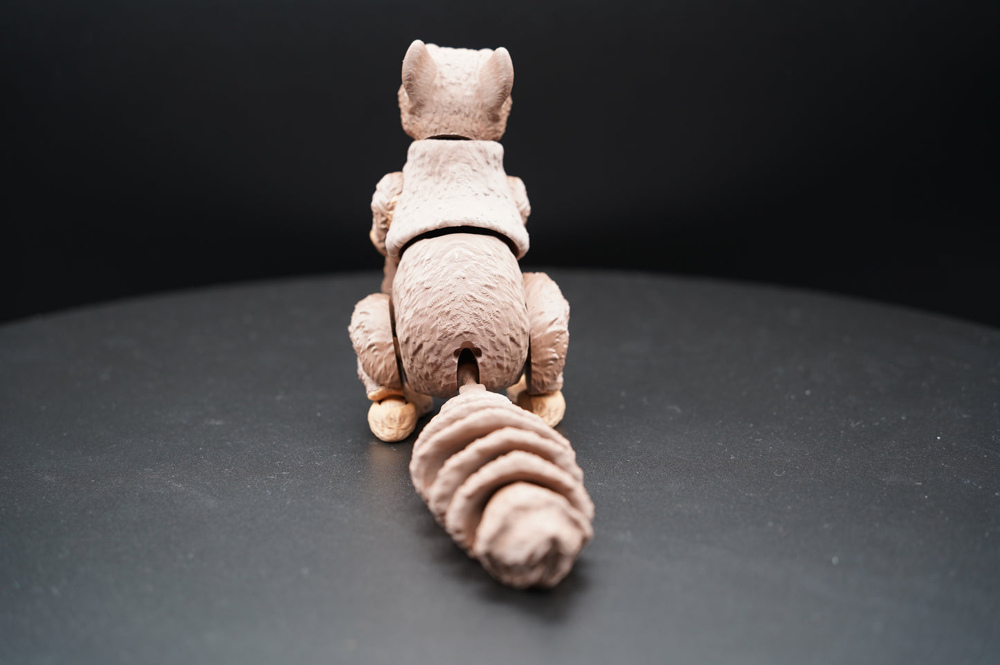 Squirrel