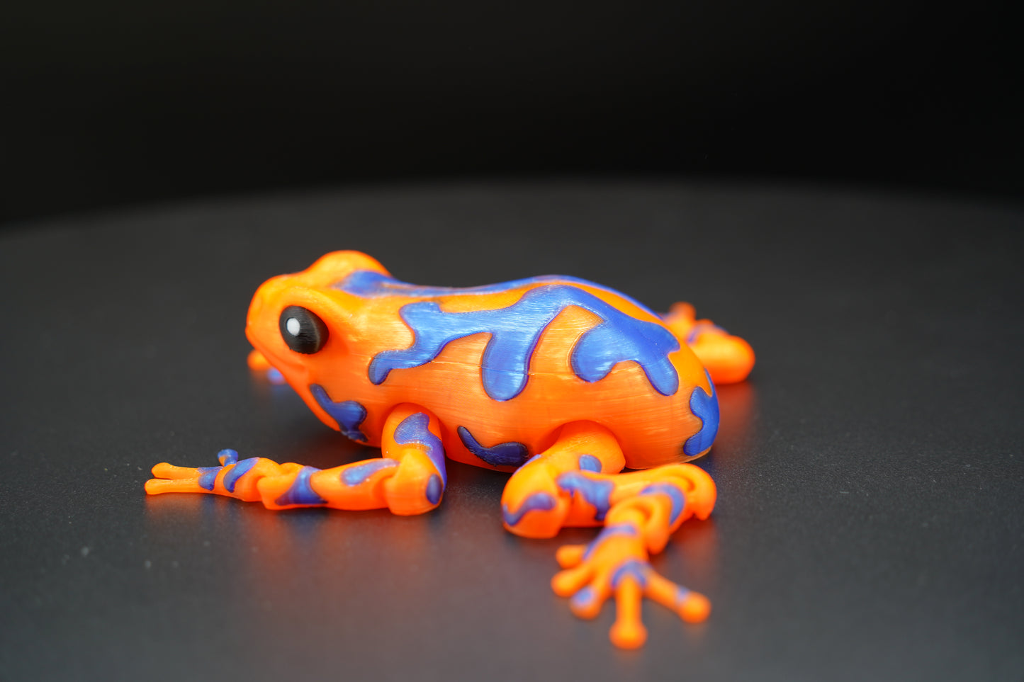 Articulated Poison Dart Frog – 3D Printed Poseable Frog (5” Long)