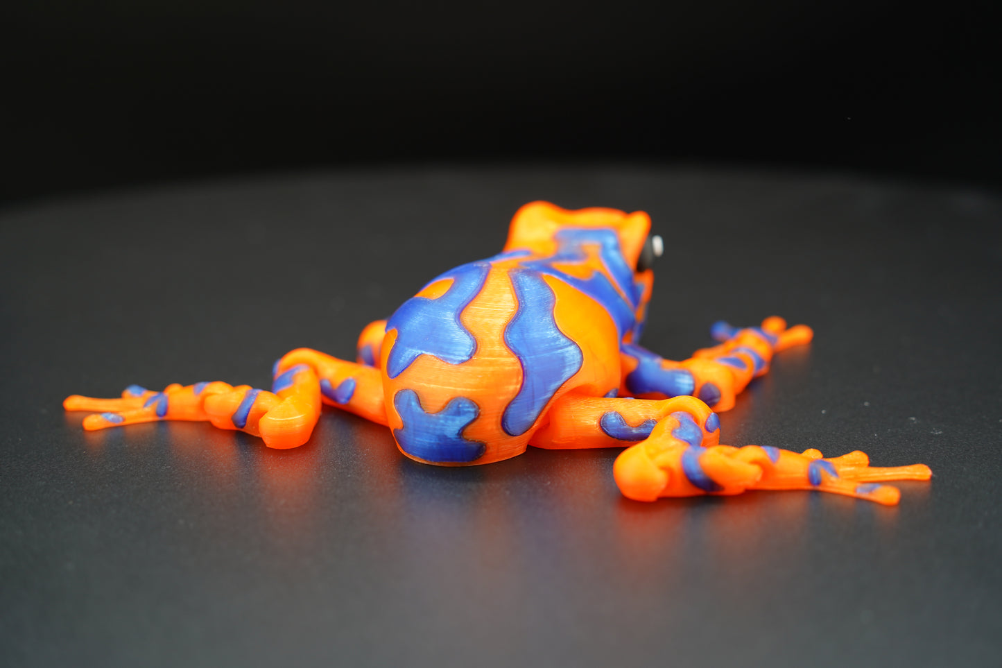 Articulated Poison Dart Frog – 3D Printed Poseable Frog (5” Long)