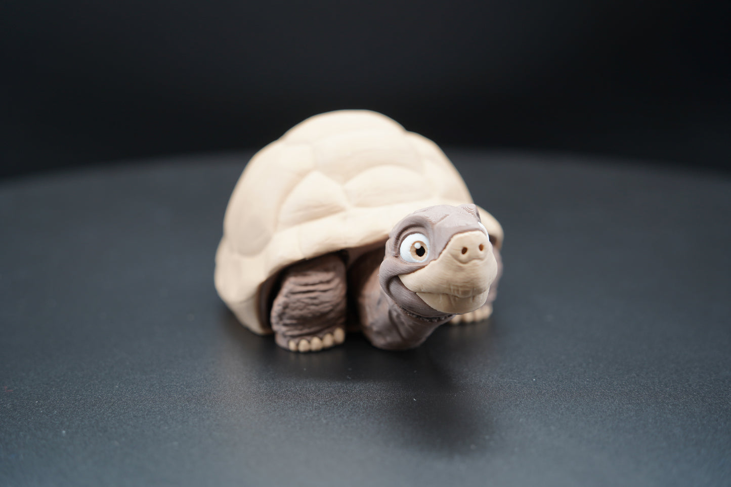 Tortoise – Articulated 3D Printed Animal (7" × 3")
