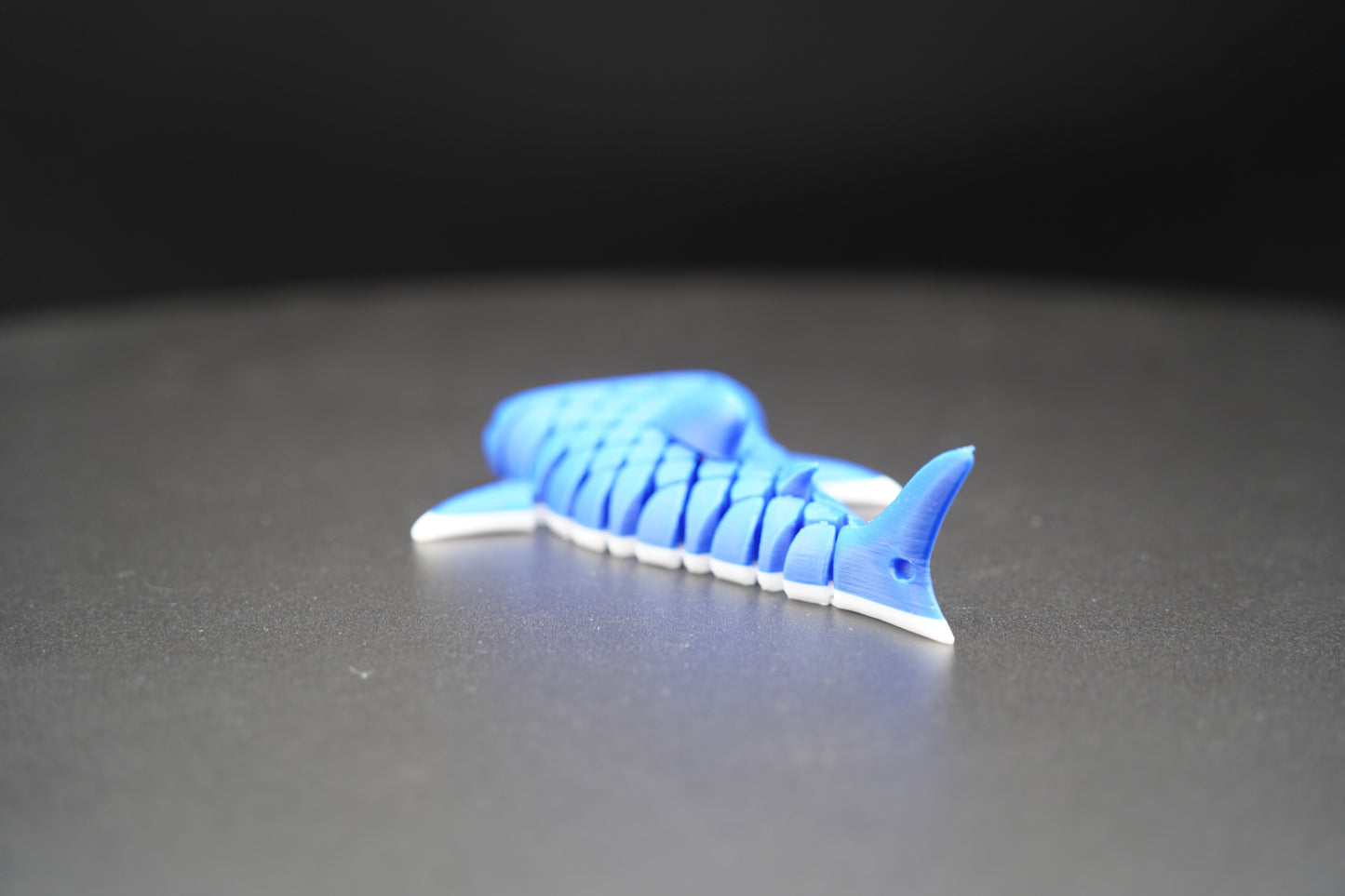 Whale Shark – Articulated 3D Printed Shark (5" × 1.25")
