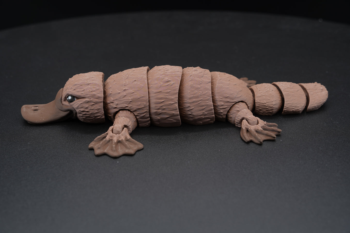 Platypus – Articulated 3D Printed Platypus (8.5" × 1.25")