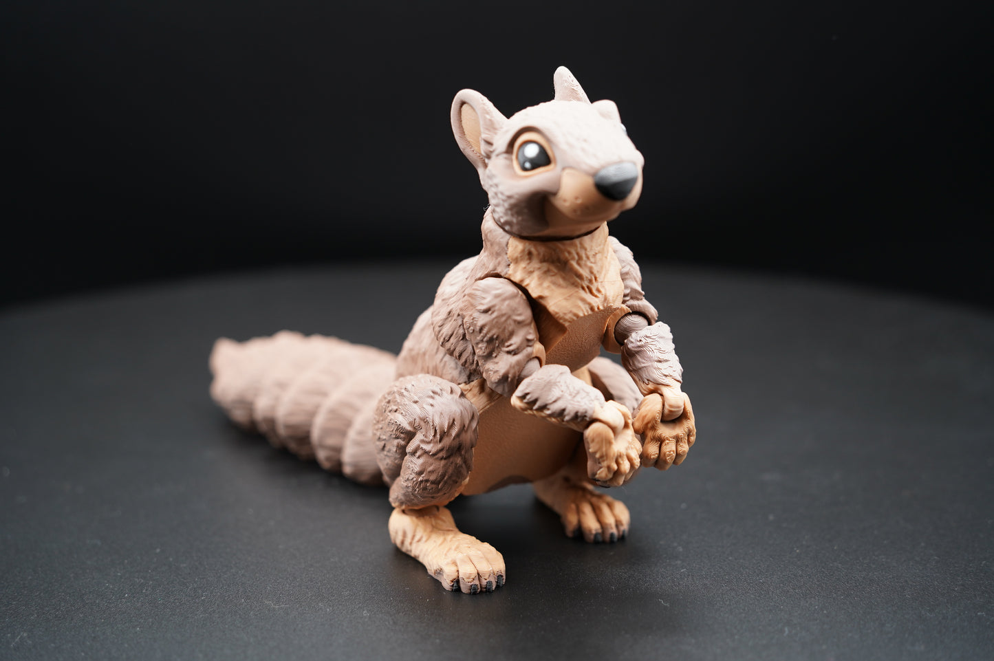 Squirrel