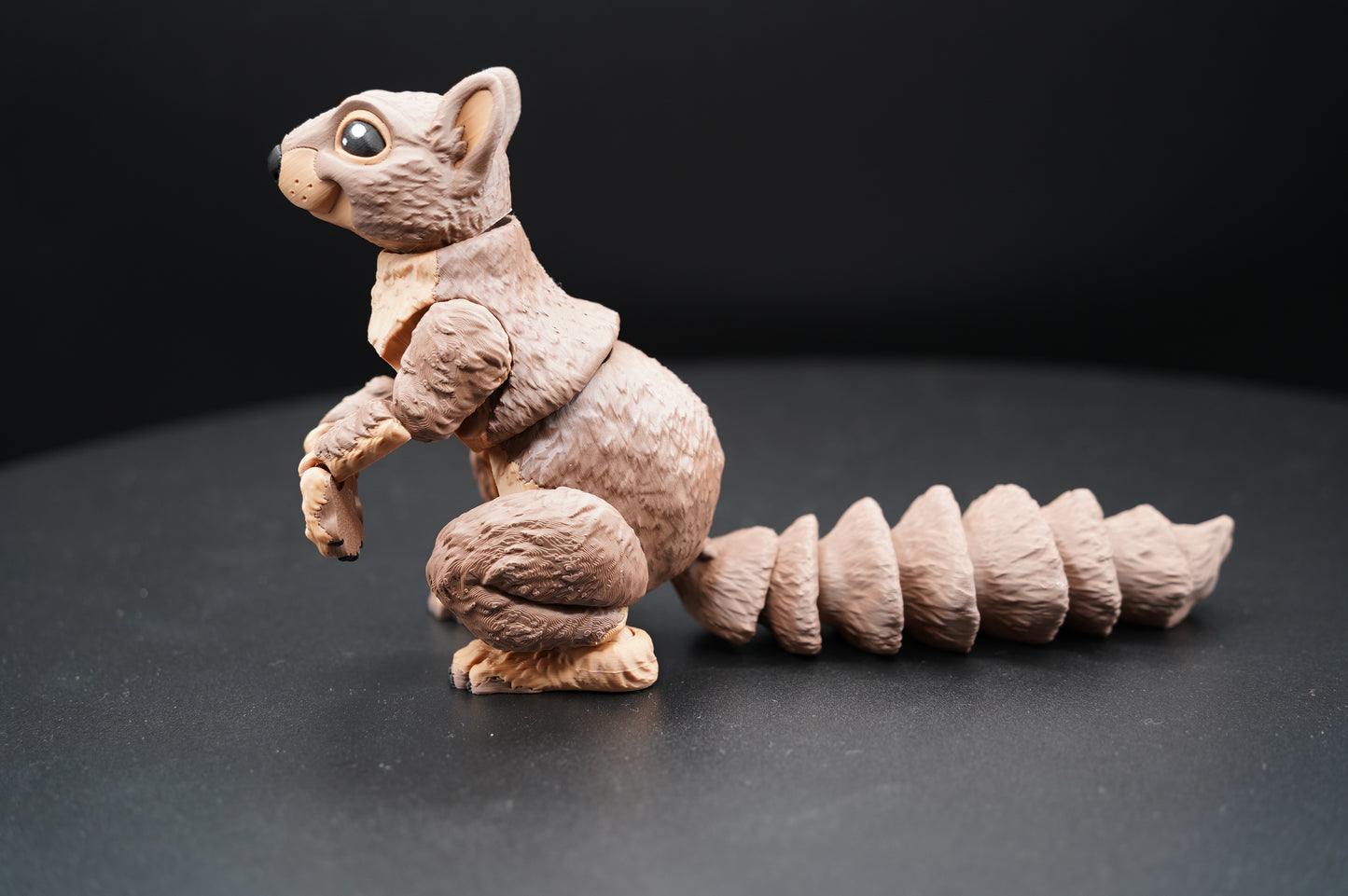 Squirrel