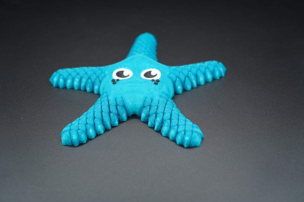 Sea Star – Articulated 3D Printed Animal (7" × 1")