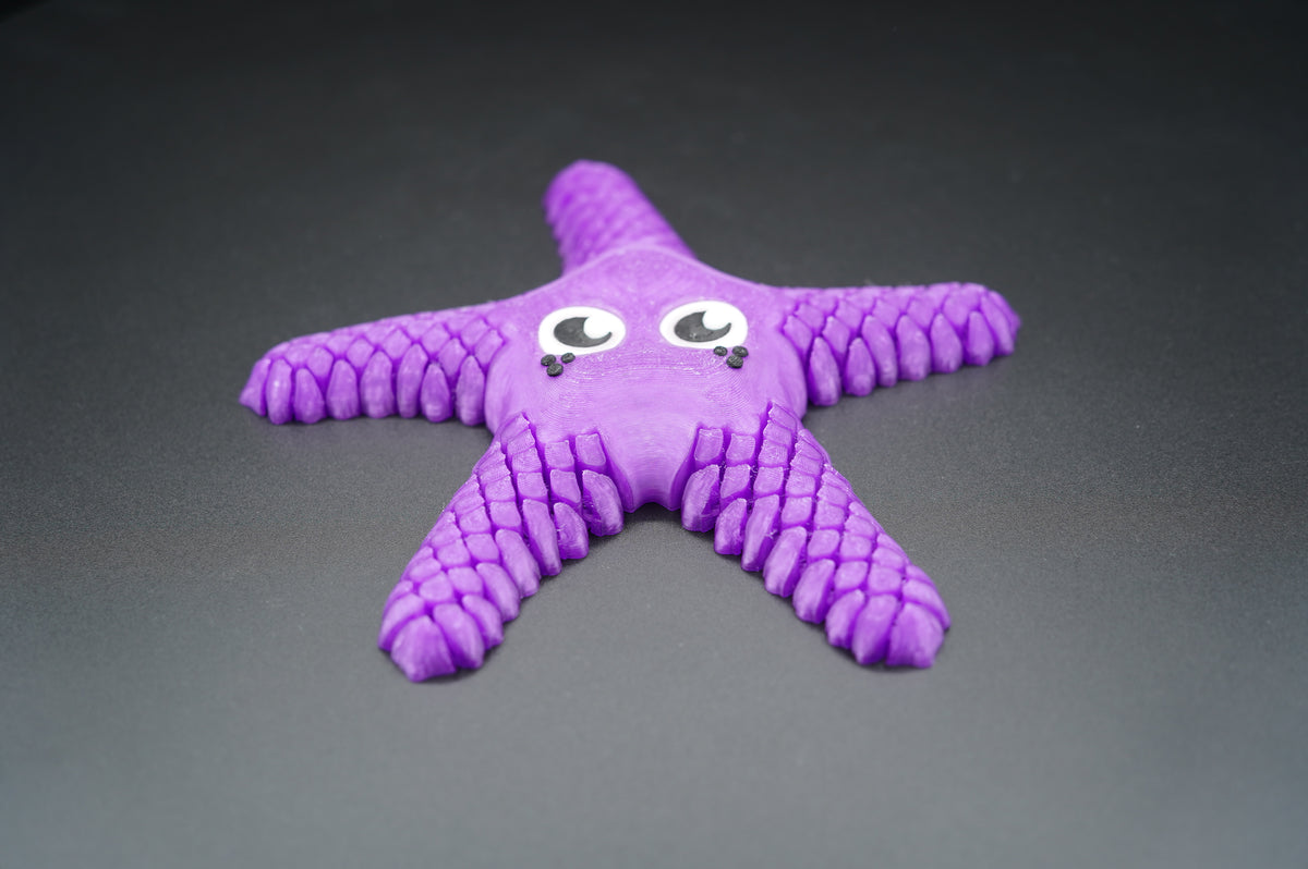 Sea Star – Articulated 3D Printed Animal (7" × 1")