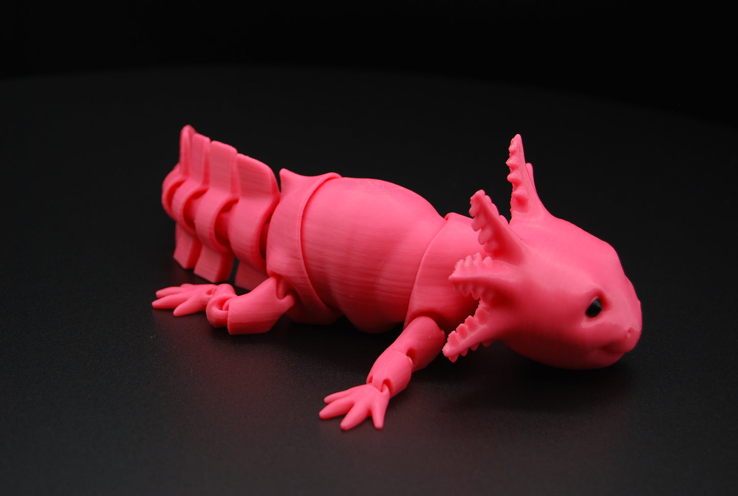 Articulated Axolotl – 3D Printed Poseable Axolotl (9” Long)
