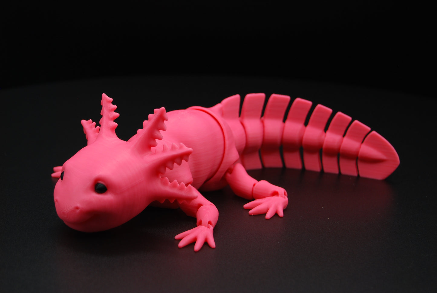 Articulated Axolotl – 3D Printed Poseable Axolotl (9” Long)